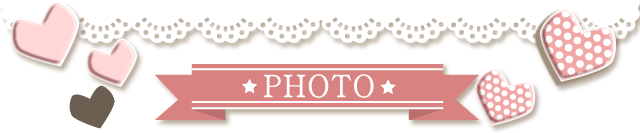 写真作品について